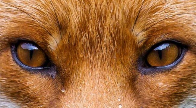 099d7217488896d29f90adcb458ec9ba