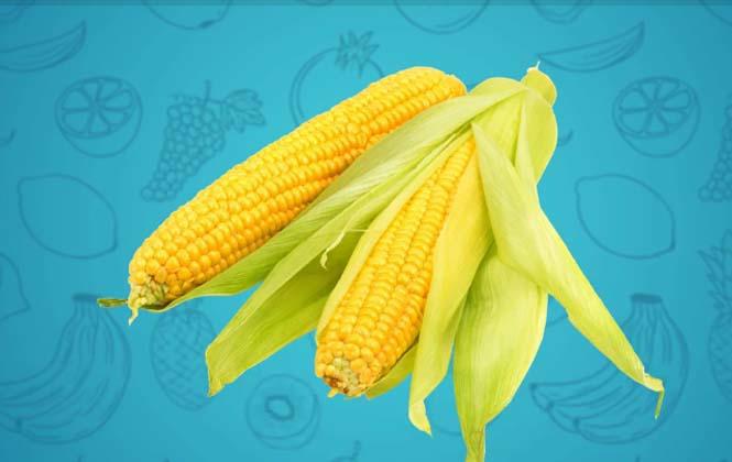 14727508131377725131