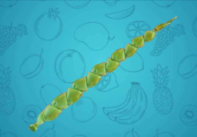 14727508131927665308