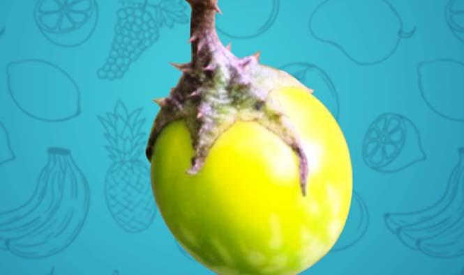 14727508131936809338