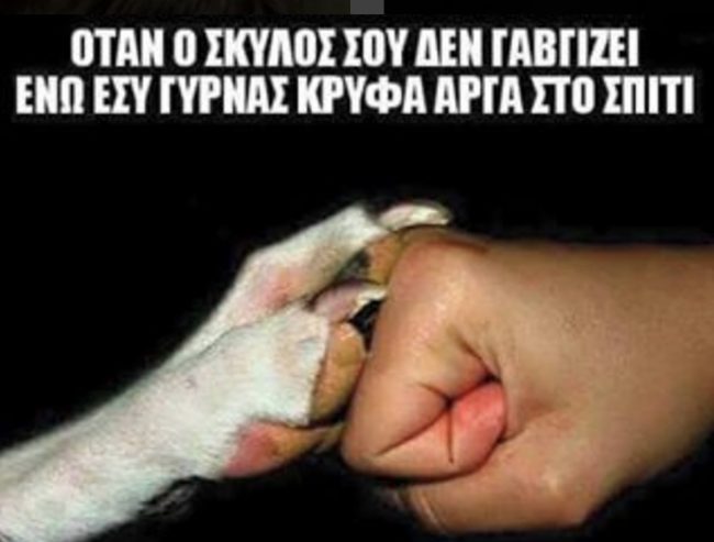 14750638541171357711