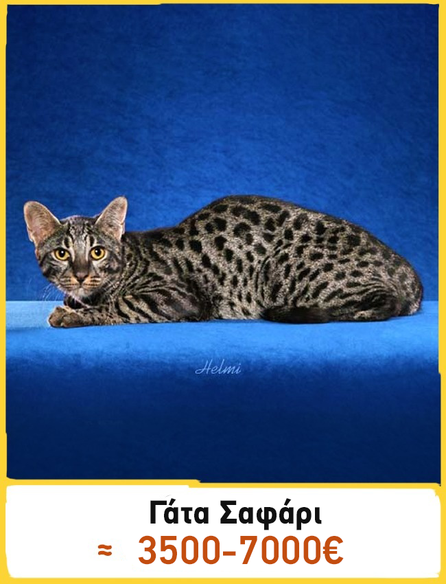 30c4a5d30d6aecfdb4b10830c95a0473