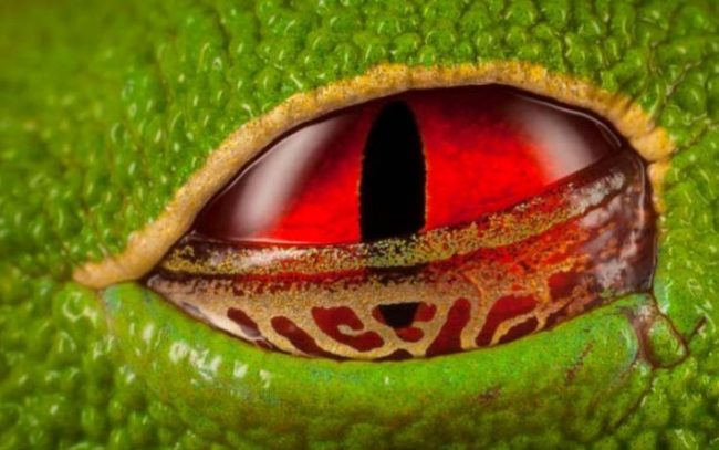 31bba5143c362a4b95cb86a37de74c0d