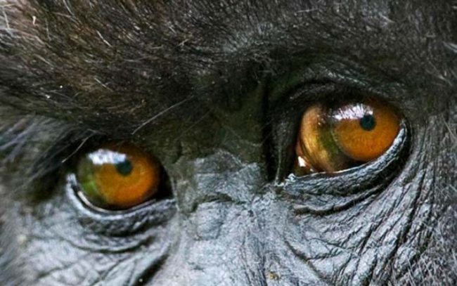 52cd09b7c3dd164db3a2528418f7088b