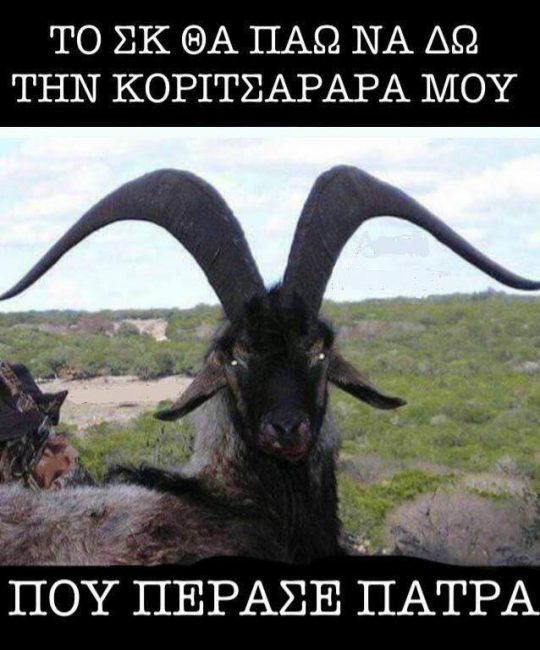 58a3a803bfb7ff23f99a9c1a3d87ca27