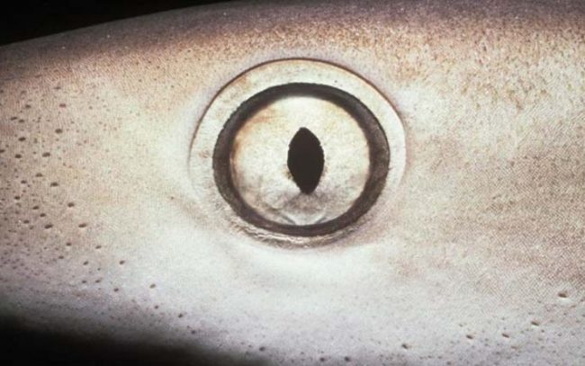 6bd56f771b73473ab2756cb263456a1a