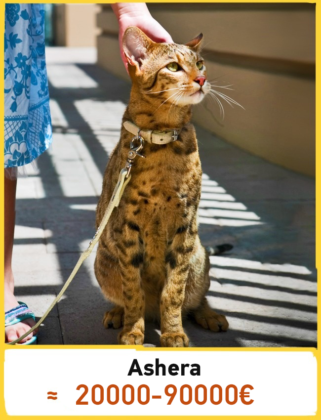 719a4c0c0d5c9b8f72532c00b8078840