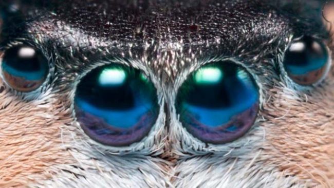 74849fe52810dda1ac657e13f87e55ab