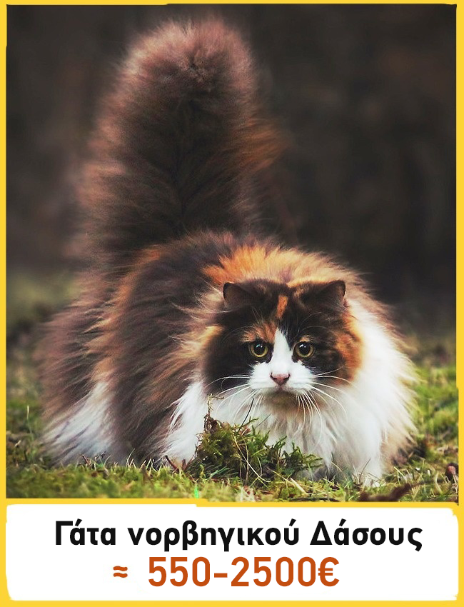 766db68a1354bcff33e89396327d3fd6