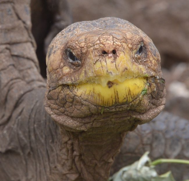 7877cd75bdb87b6ec36dbdeaa1373910