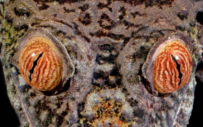 78ecd6504410187b8b77fe2214917637