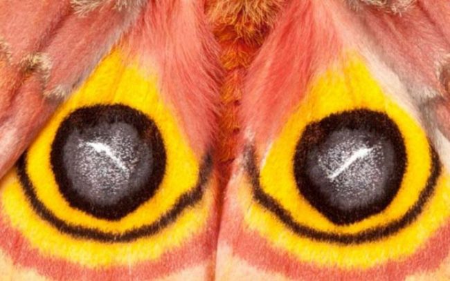 7a651c6e5838390d6323e76ef2f4ab0b