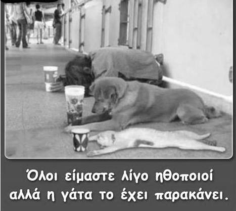 8580050a0c702ac3813a97c842835d7b