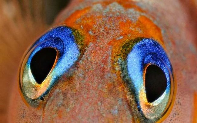 9c9618656755e765a77c9ca730fa9181