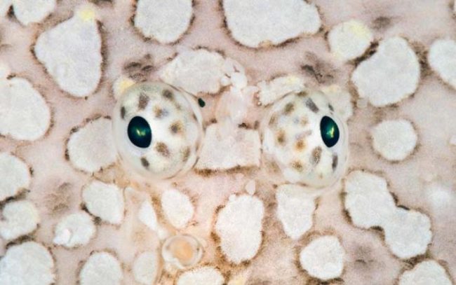 a533ca0053d4653aaa274709d6a14127