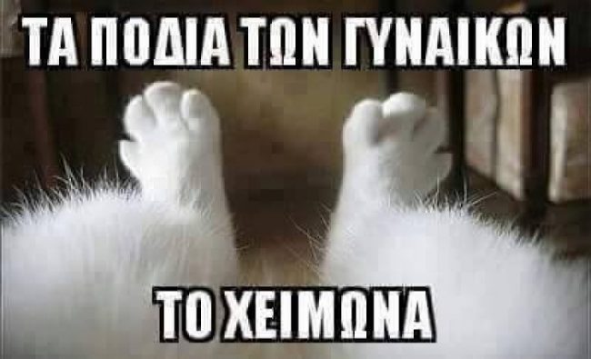 a87ff679a2f3e71d9181a67b7542122c-105