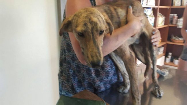 a87ff679a2f3e71d9181a67b7542122c-75