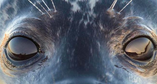 a938d7f69212cd3dbb3e13353d76d8b5