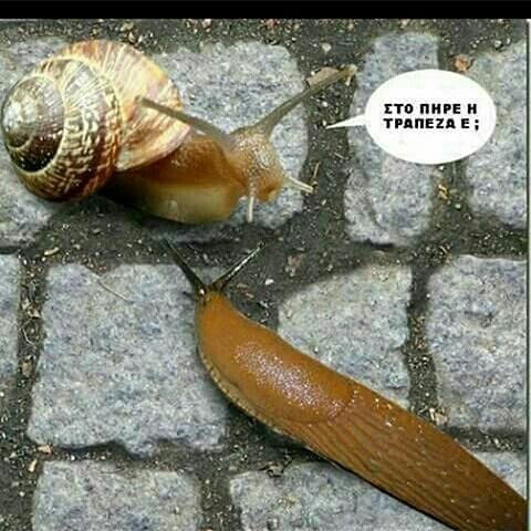 aab3238922bcc25a6f606eb525ffdc56-32