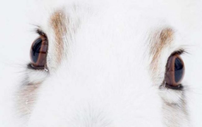 aae89d6d19e0d20ff3ecf98a66861b6f