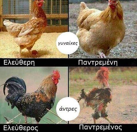 ab6e70aa629239a6f0dddd6beb4301d0