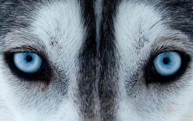 b315fadbf0d0b434a65db693106ac408