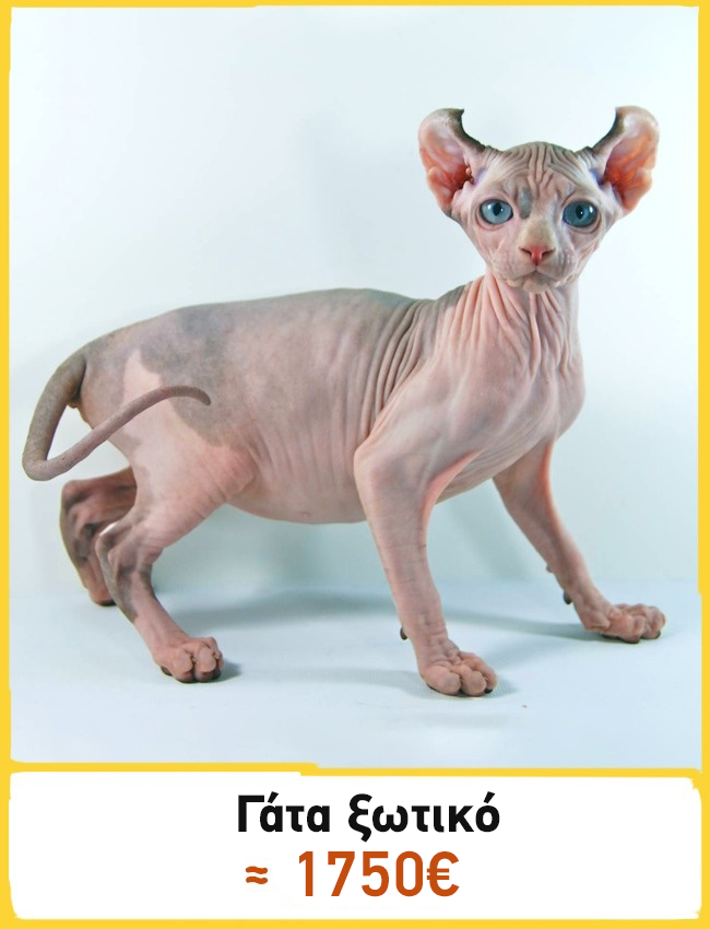 b934d48c5d5487afa124437194d6717a