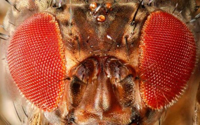 c39023e4b4604b099bbd2a726290a65b