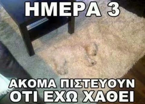 c4ca4238a0b923820dcc509a6f75849b-350