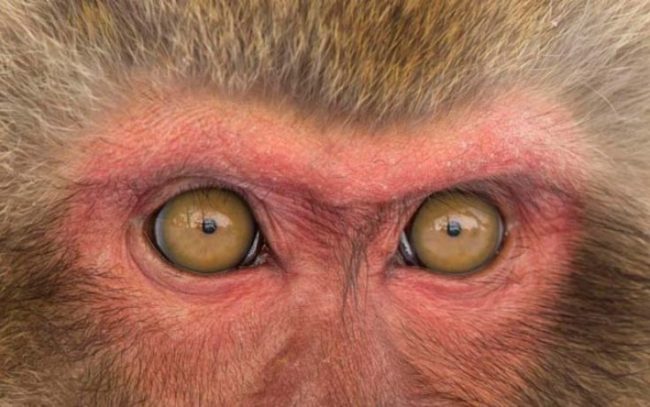 d1e7ec80cd93739c8b76f9c415b9e8b3