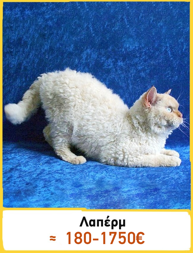 d4e5ddfca62ec322baa4026cd31815df