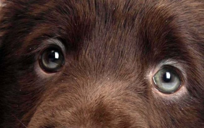 d4eb3b6c7957943f4c89ff16e031864b