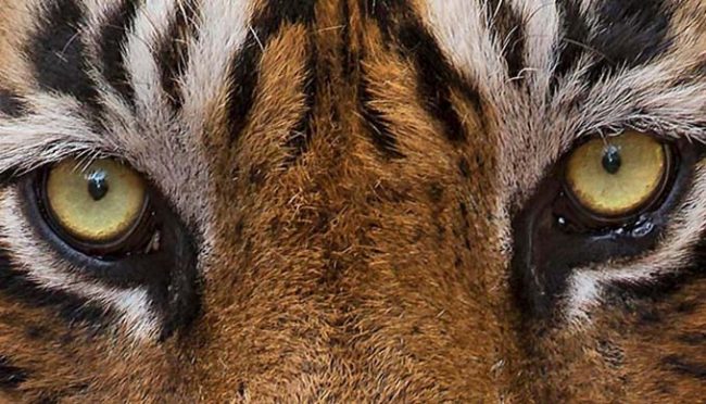 dd2bf68d64ce8e77715b98ced5a6e7d1