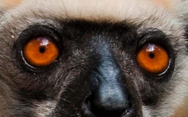 f19c8e1aa2448c248664b3eee001228a