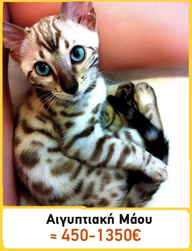 fb2e4e72cdecb1e016be4ed3d2840262